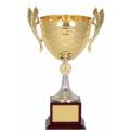 Large Metal Trophy Cup